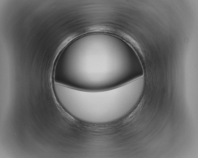 X0000111461330200907131210