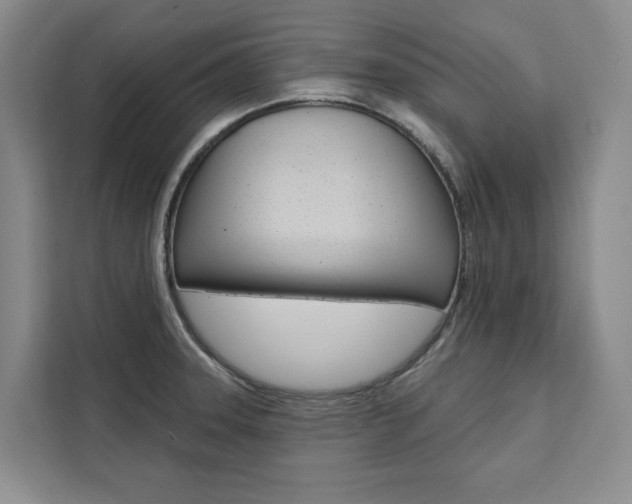 X0000111461331200907131210