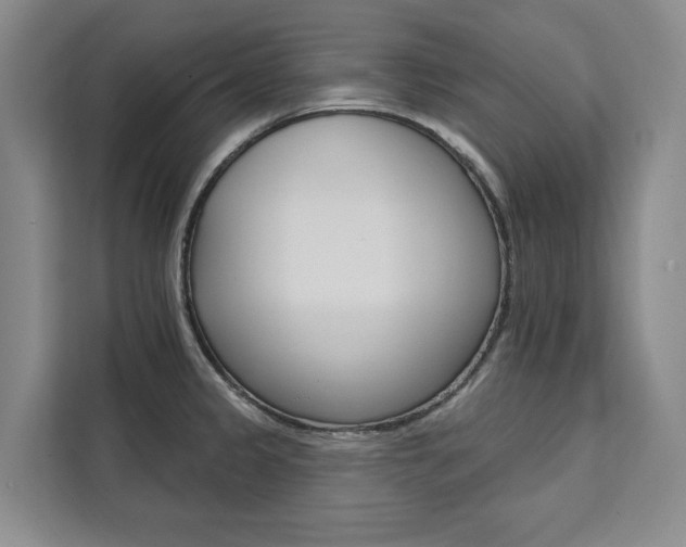 X0000111461333200907131210