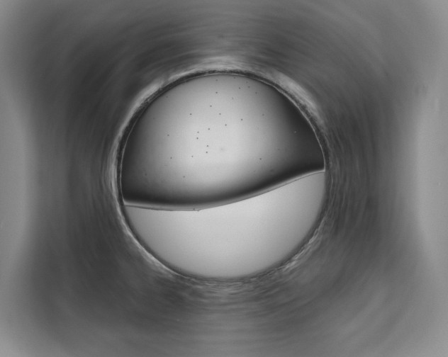 X0000111461334200907131210