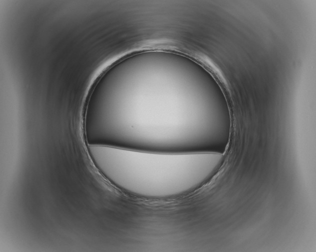 X0000111461336200907131210