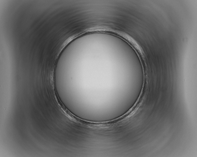 X0000111461337200907131210