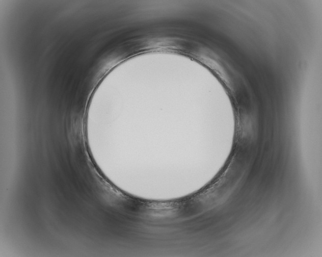 X0000111461338200907131210