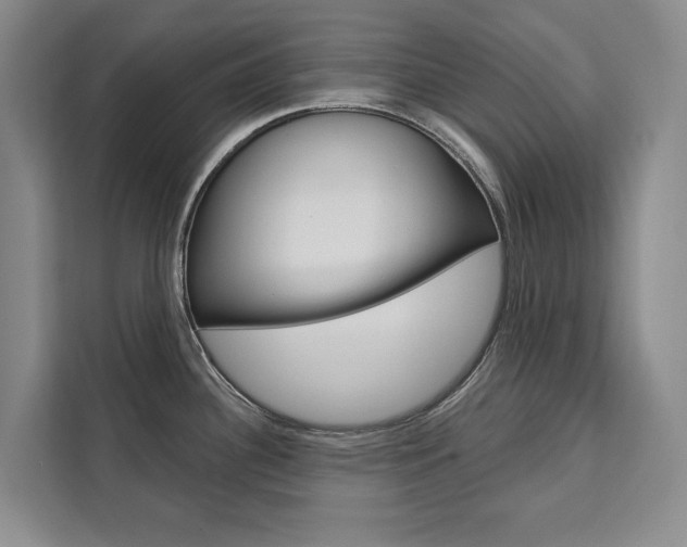 X0000111461340200907131210