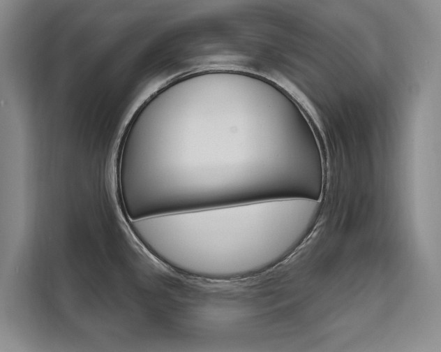 X0000111461341200907131210