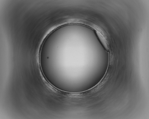 X0000111461342200907131210