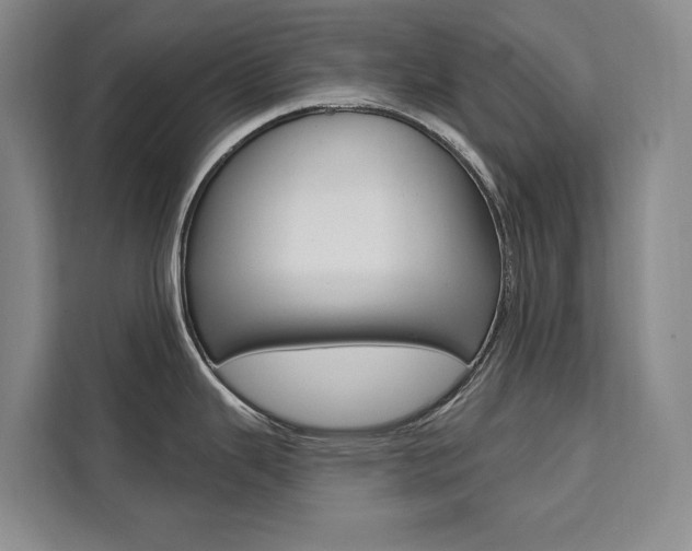 X0000111461343200907131210