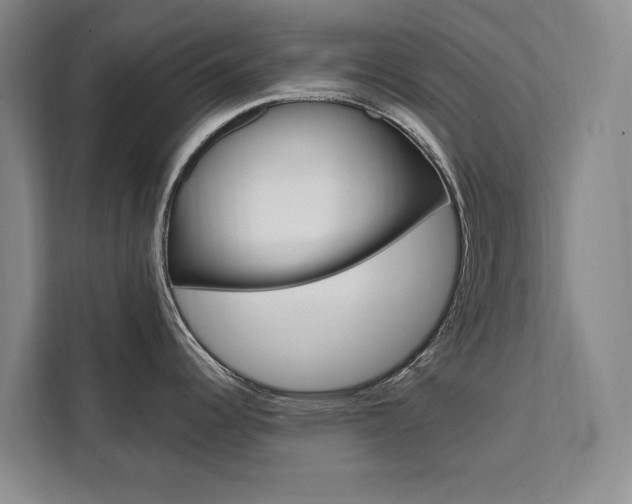 X0000111461344200907131210