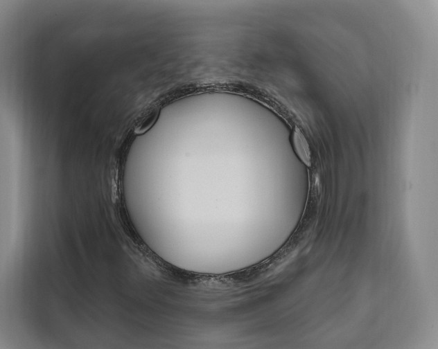 X0000111461348200907131210