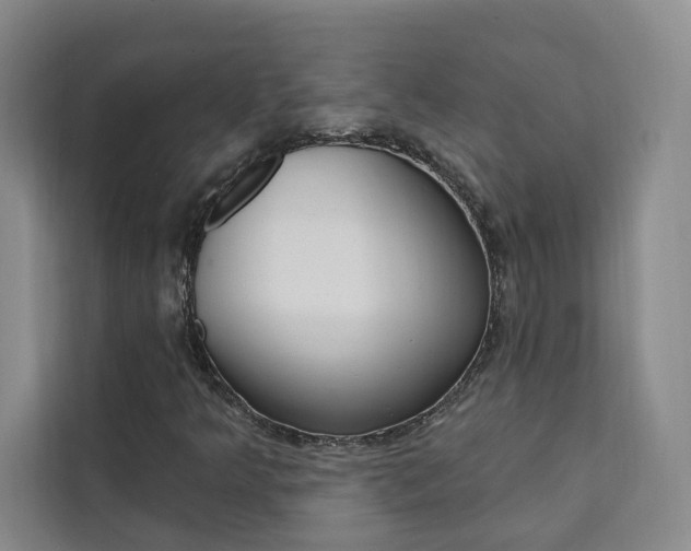 X0000111461349200907131210