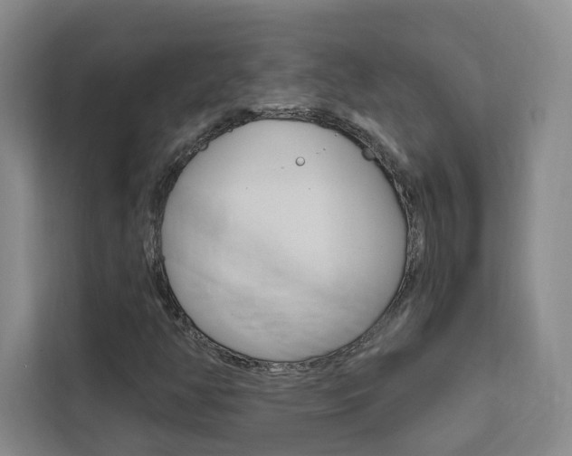 X0000111461350200907131210
