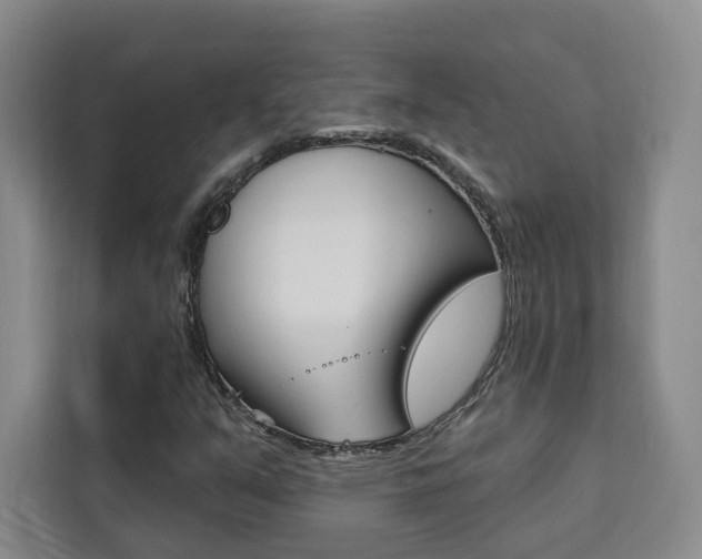 X0000111461351200907131210