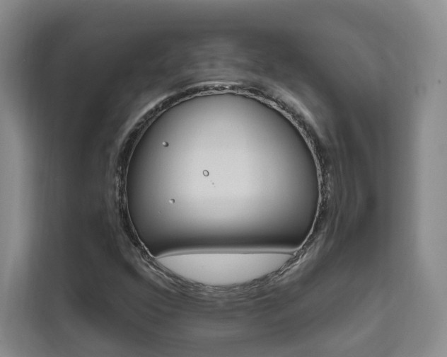 X0000111461352200907131210