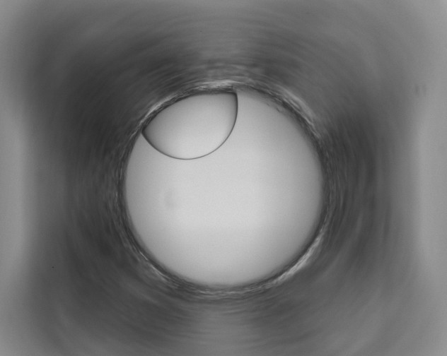 X0000111461353200907131210