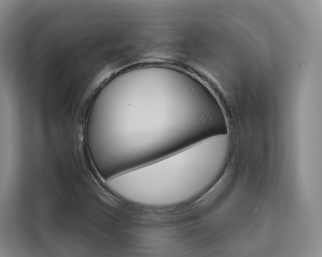 X0000111461355200907131210