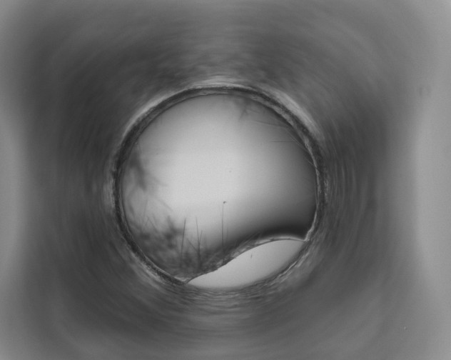 X0000111461356200907131210