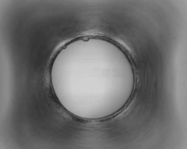 X0000111461358200907131210