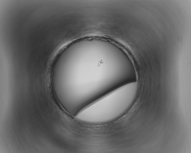 X0000111461359200907131210