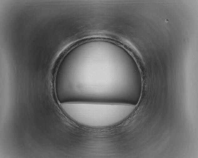 X0000111461360200907131210