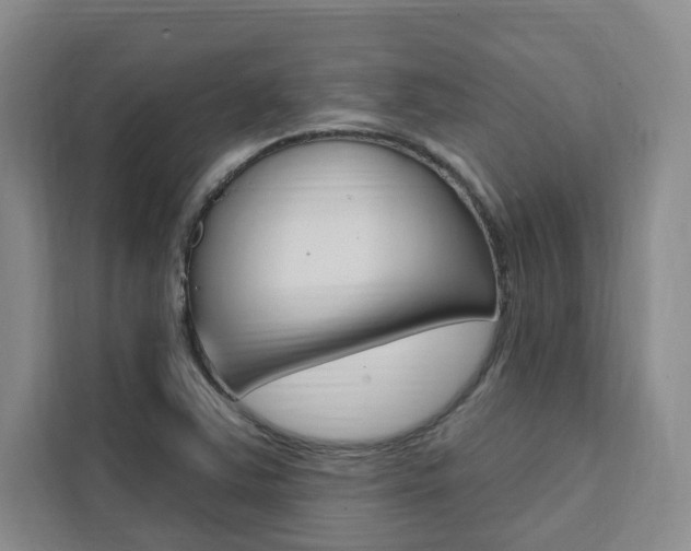 X0000111461363200907131210