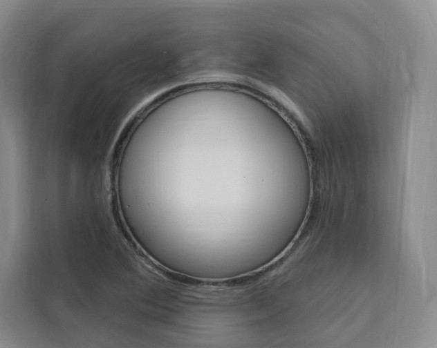 X0000111461364200907131210