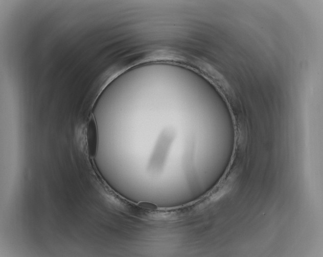 X0000111461369200907131209