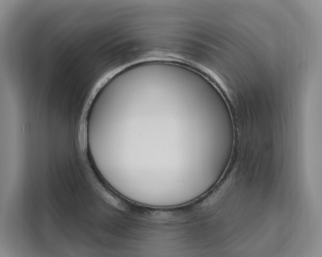 X0000111461371200907131209