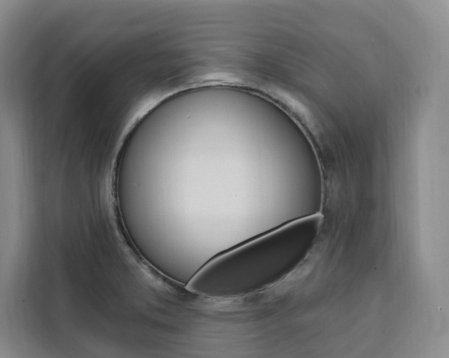 X0000111461373200907131209