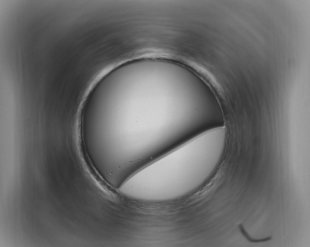 X0000111461375200907131209