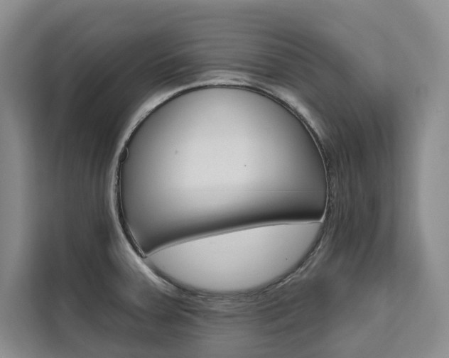 X0000111461379200907131209