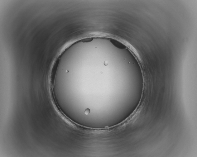 X0000111461381200907131209