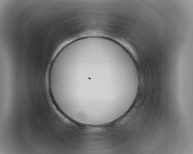 X0000111461382200907131209