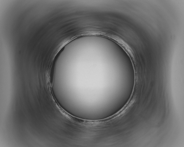 X0000111461385200907131209