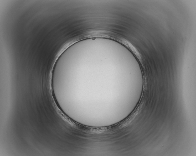X0000111461386200907131209