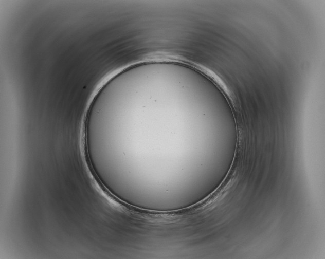 X0000111461387200907131209