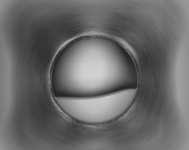 X0000111461388200907131209