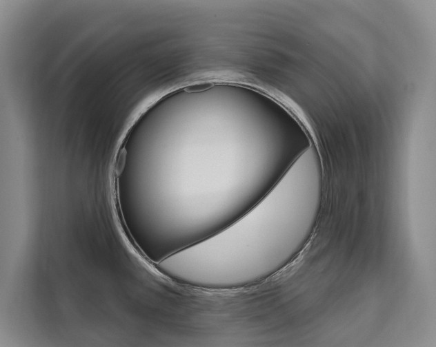 X0000111461389200907131209