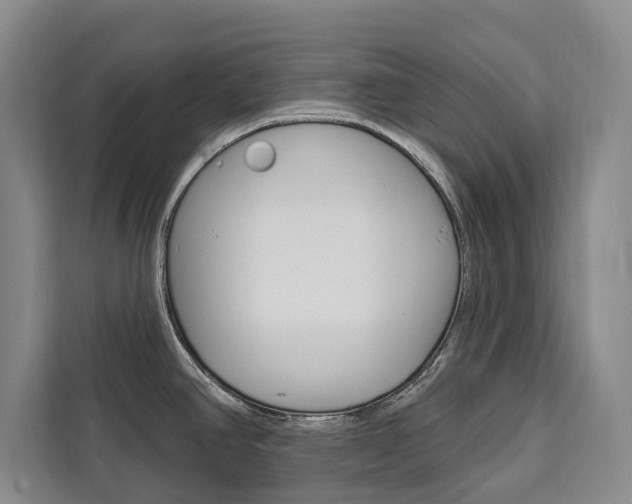 X0000111461390200907131209
