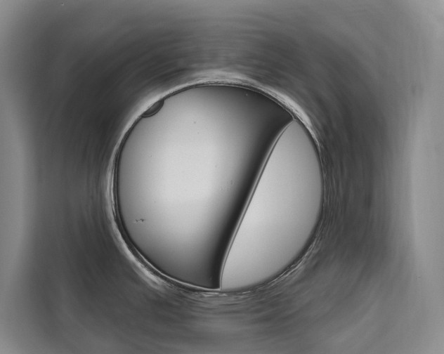 X0000111461391200907131209