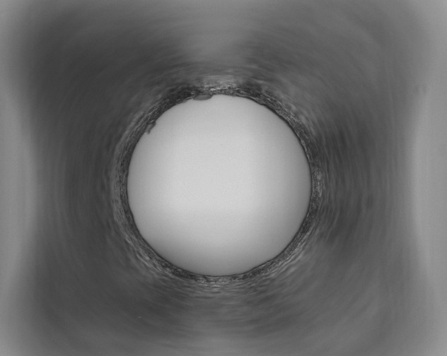 X0000111461393200907131209