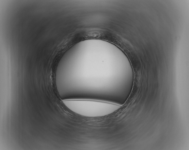 X0000111461394200907131209