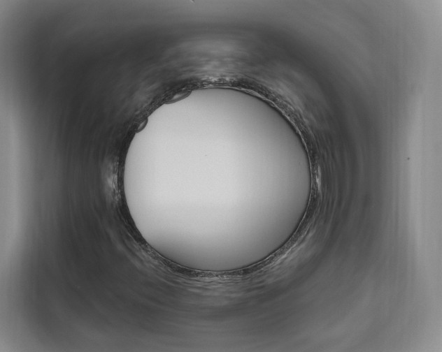 X0000111461396200907131209