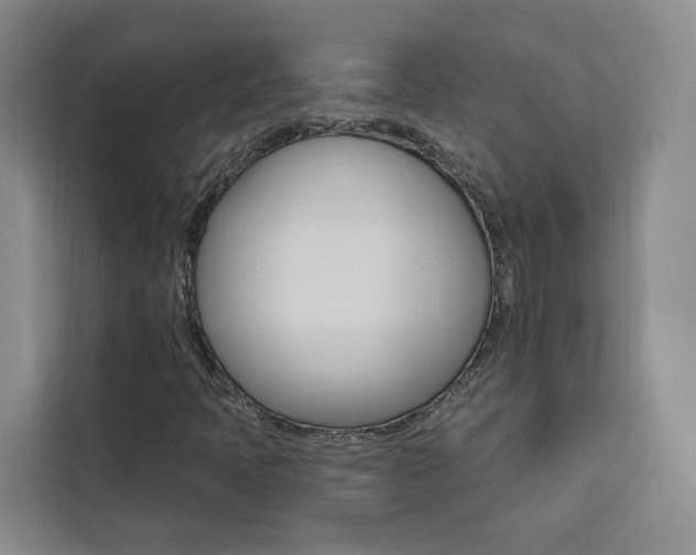 X0000111461397200907131209