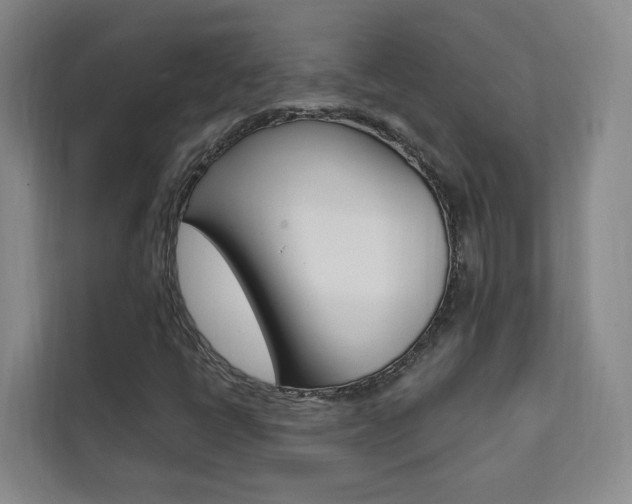 X0000111461398200907131209