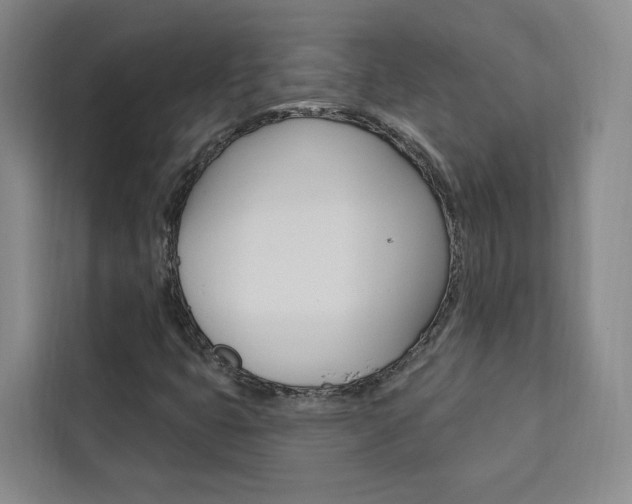 X0000111461399200907131209