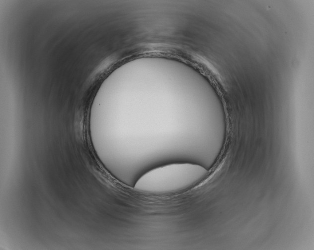 X0000111461403200907131209