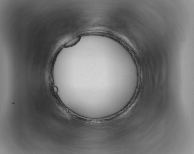 X0000111461405200907131209