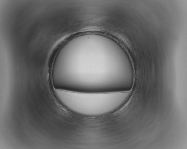 X0000111461406200907131209