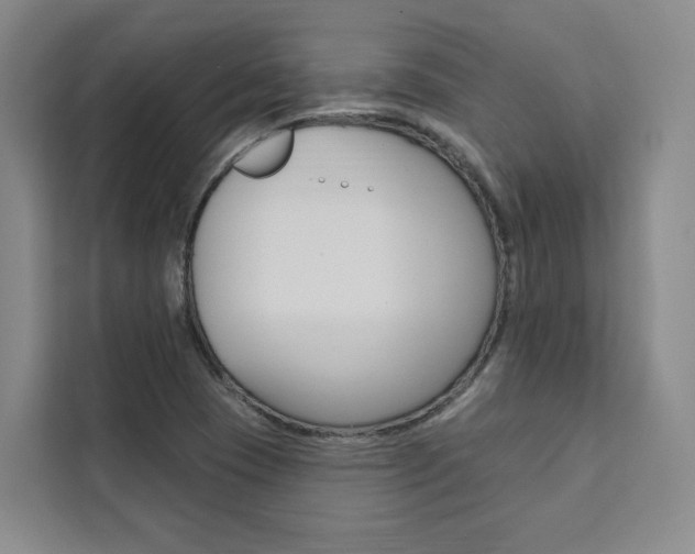 X0000111461409200907131209