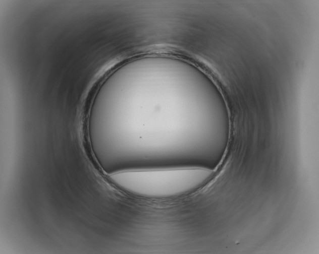 X0000111461410200907131209